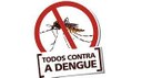 Aedes aegypti / Dengue